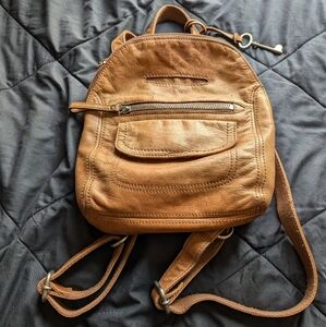 Fossil back pack